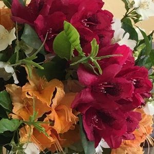 Meet your Posher, Holly